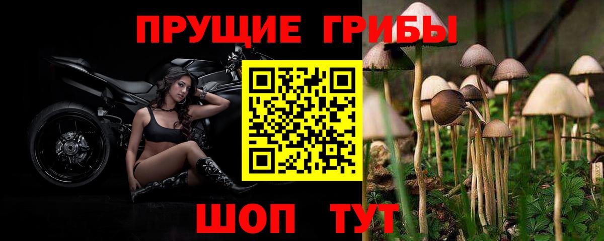 Лосино-Петровский  Псилоцибиновые грибы MAGIC MUSHROOMS  Вход с VPN 
